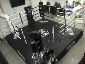 廣告制作的藝術(shù)與科學(xué) 從創(chuàng)意到成品的全面解析